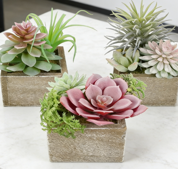 3-Piece Set: Faux Succulents in Wooden Pots