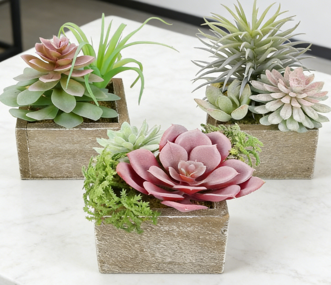 3-Piece Set: Faux Succulents in Wooden Pots