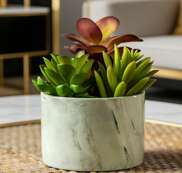 Colorful Succulent Pot in Ceramic (Cute Style) - Image 2