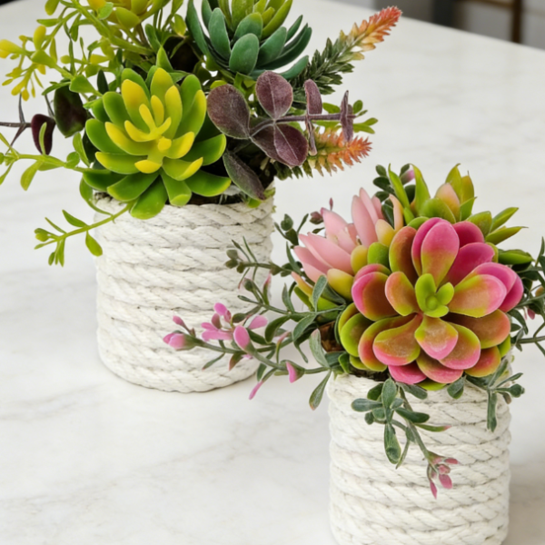 2-Piece Set: Mini Faux Succulent Pots
