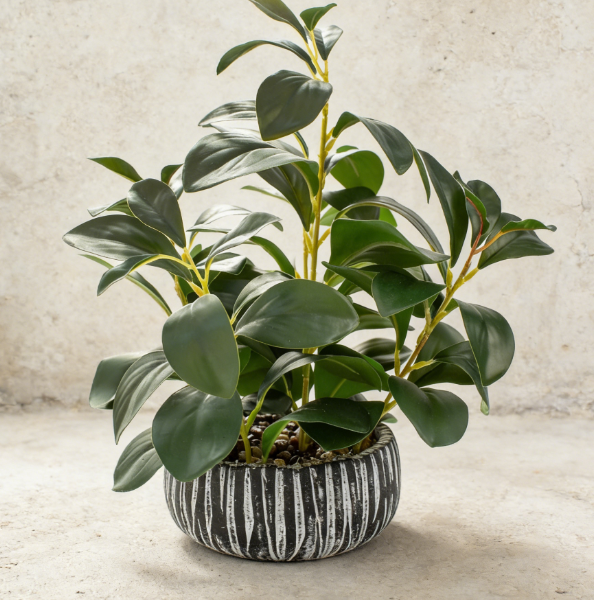 Retro Black Ceramic Succulent Pot (Desktop Decor)