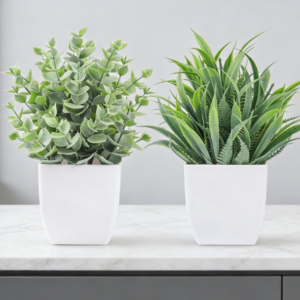 2-Piece Set: Mini Faux Potted Plants (Home Accent)