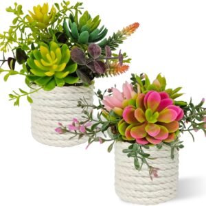 2-Piece Set: Mini Faux Succulent Pots