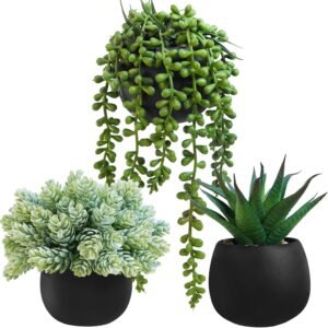 3-Piece Set: Faux Succulents in Black Concrete Pots