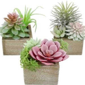 3-Piece Set: Faux Succulents in Wooden Pots